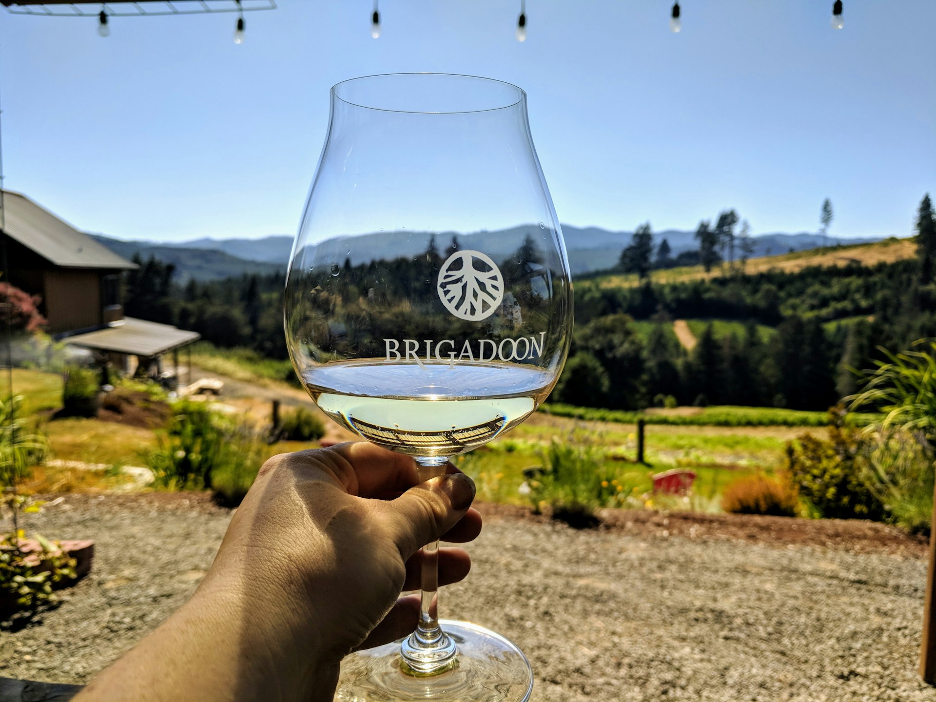 A glass of riesling is held up against the rolling hills of Southern Oregon at Brigadoon Winery near Eugene