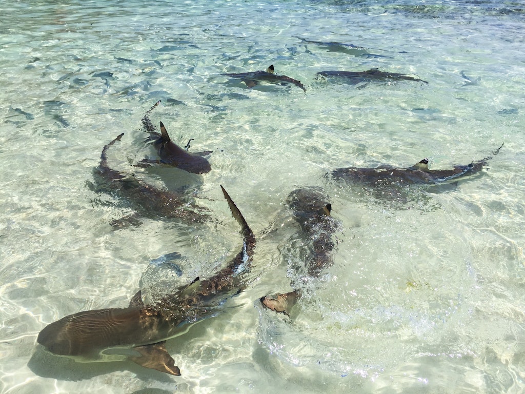 On these remote Indonesian islands, isolation is part of everyday life ...