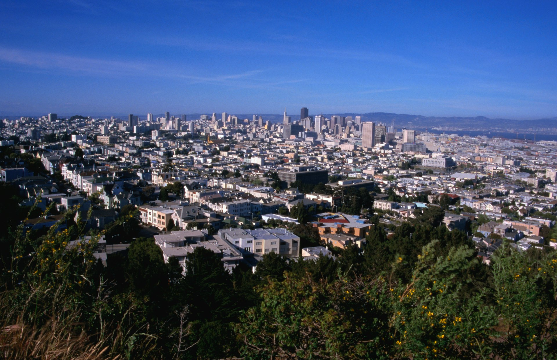 The city of San Francisco, as seen from Corona Heights Park, The Castro