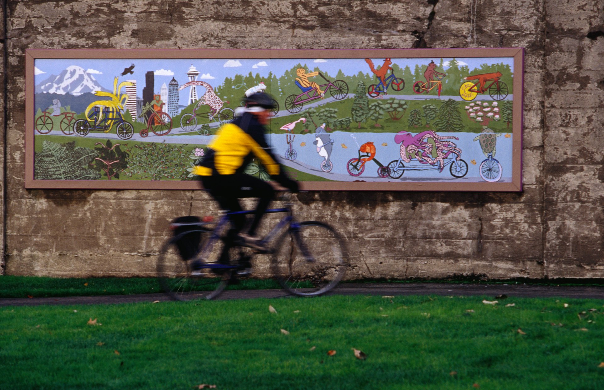 a cyclist passing in front of a mural in Seattle