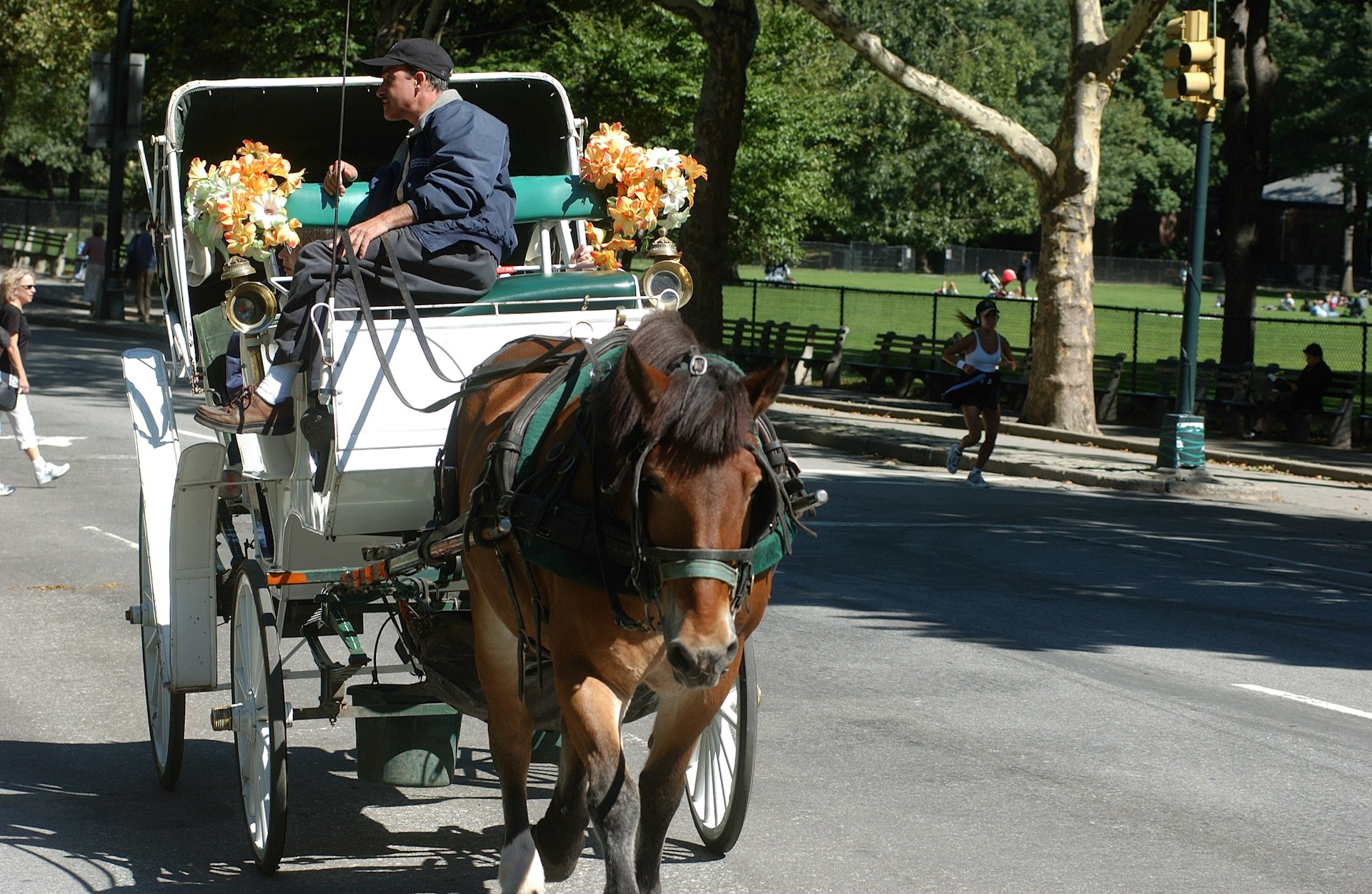 Horse-drawn carriage in Central Park, New York