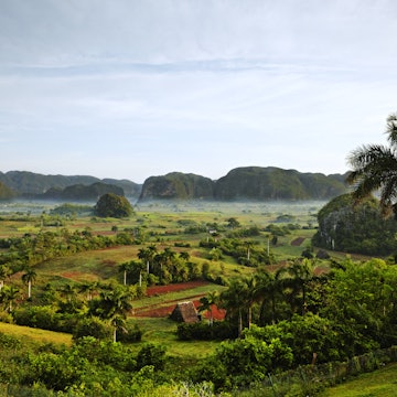 Tobacco crops fill the valley in Vanales for producing world famous Cuban cigars.
