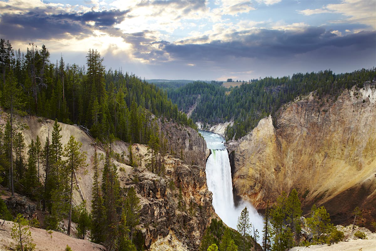 yellowstone park trip cost
