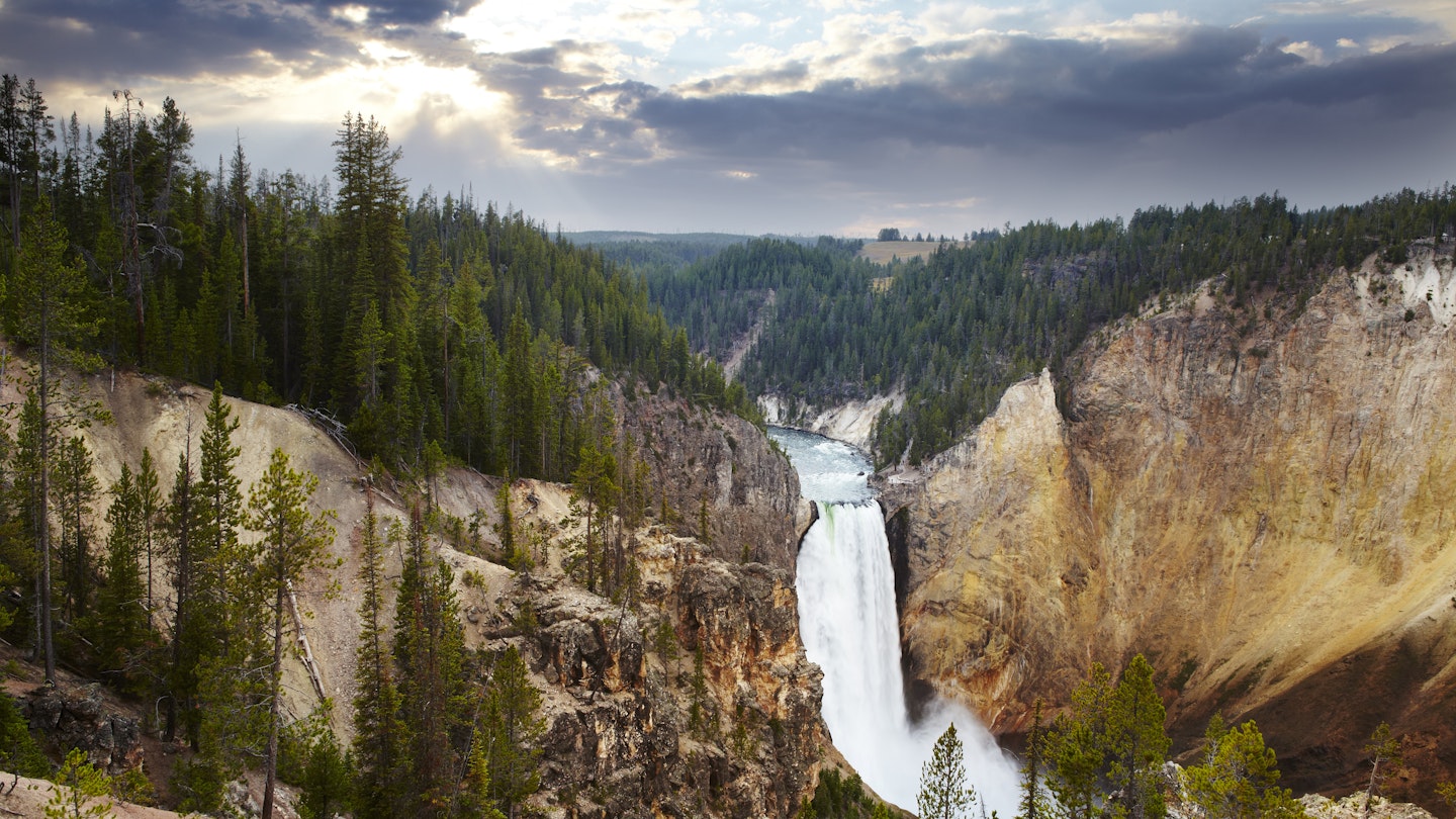 Overview of Lower Yellowstone Falls.