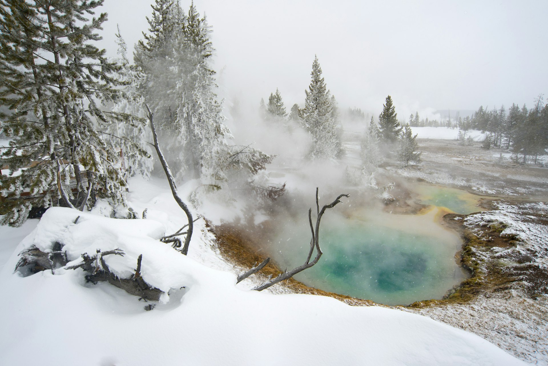 Thermal springs at Yellowstone National Park.