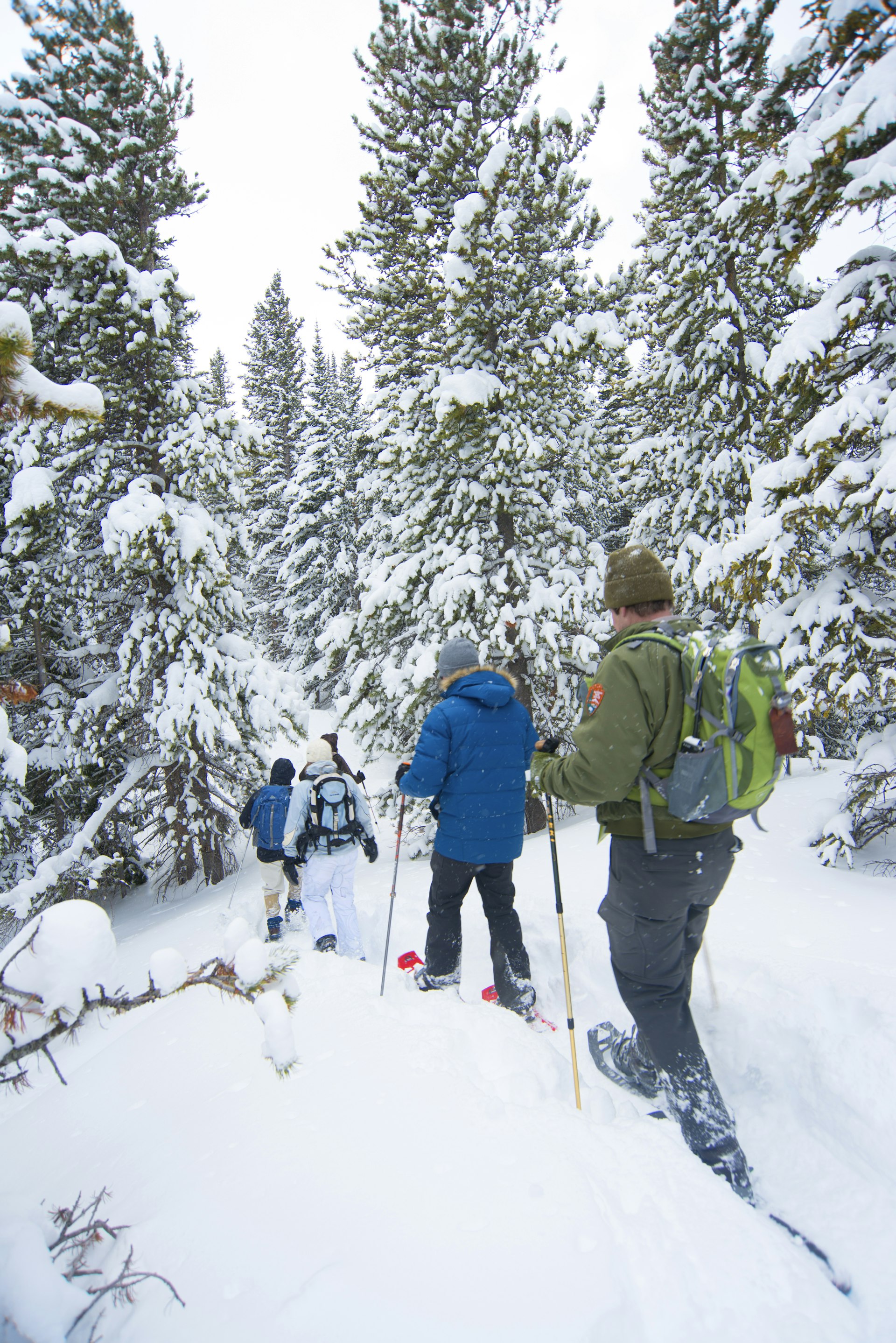 A group of people go snowshoeing on a trail in snow-covered Estes Park in Colorado