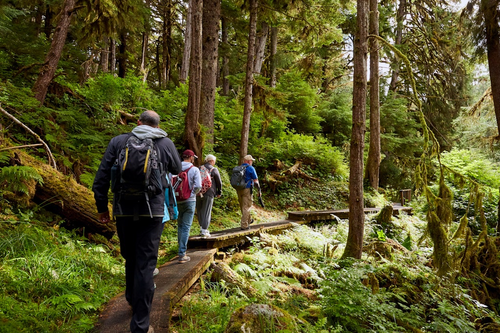 What a DIY cruise through Alaska's Inside passage is like - Lonely Planet