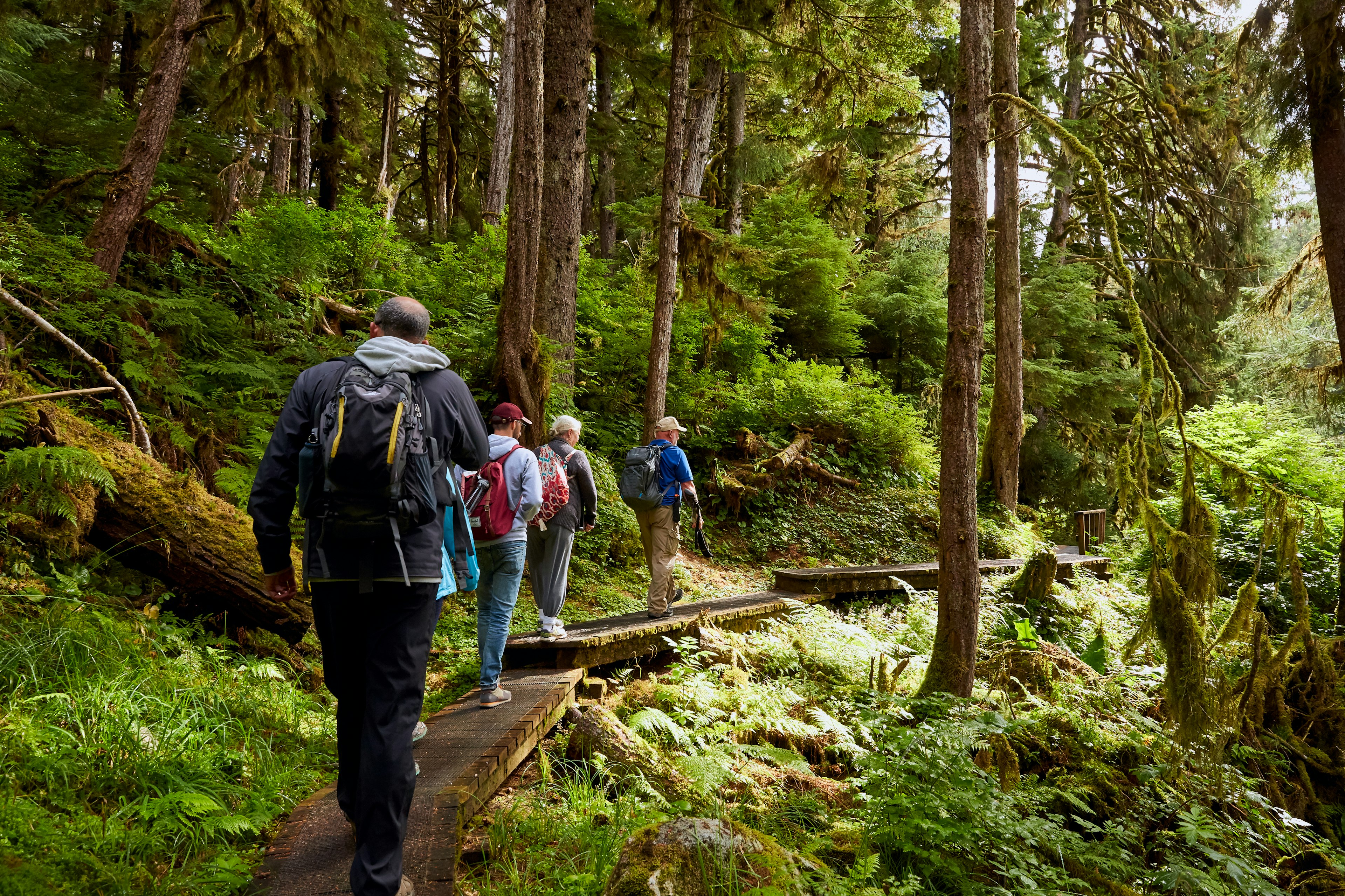 Walking the trail to Anan Creek Bear and Wildlife Observatory