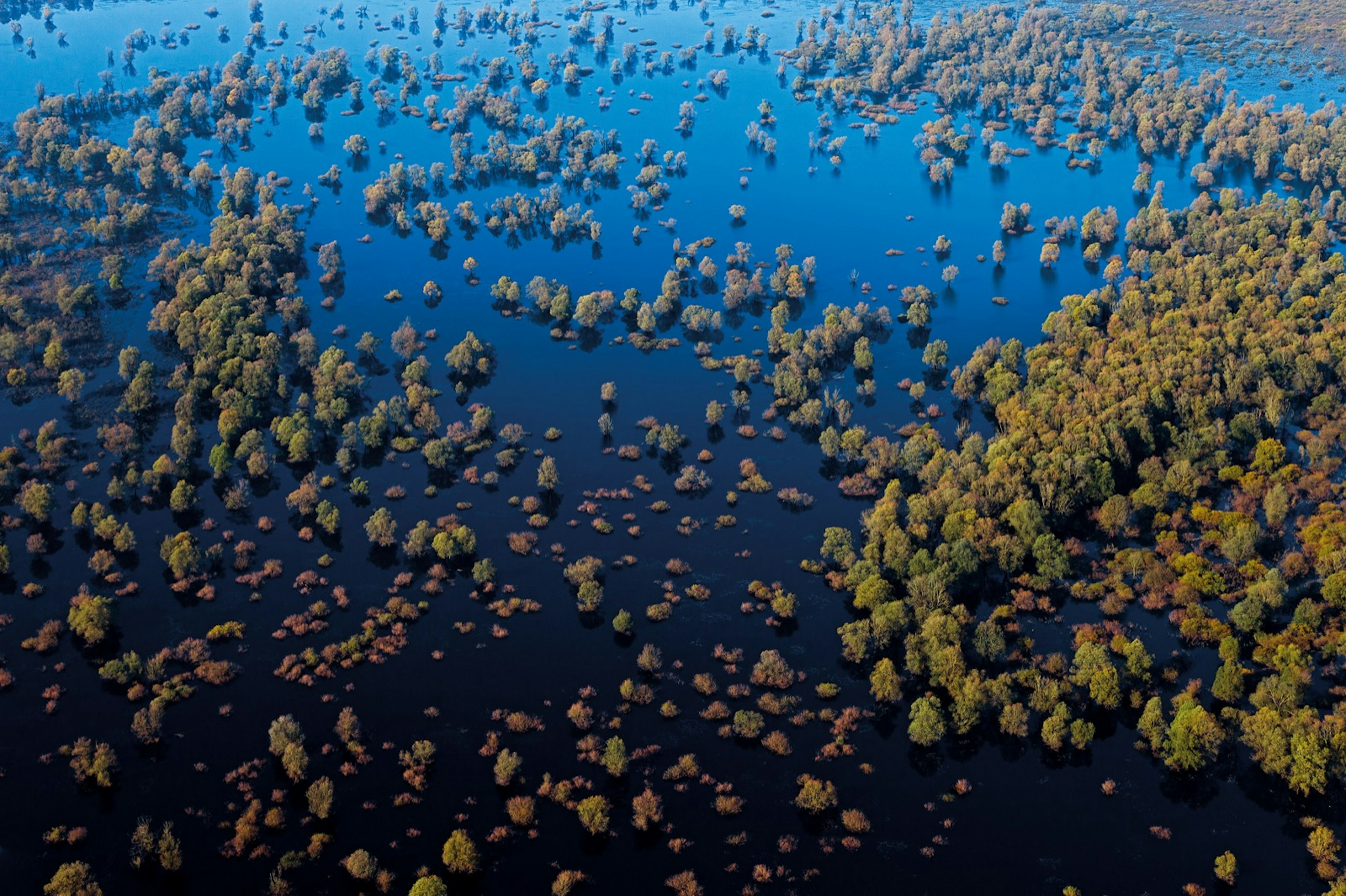 Lonjsko_Polje_Fall.jpg