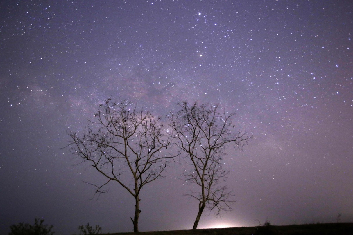How To See A Shooting Star, Shooting Stars Tonight, Meteor Shower  Photography