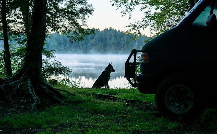 New York A dog sits near a lake in New York next to a camper van