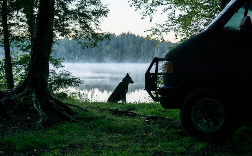 A dog sits near a lake in New York next to a camper van