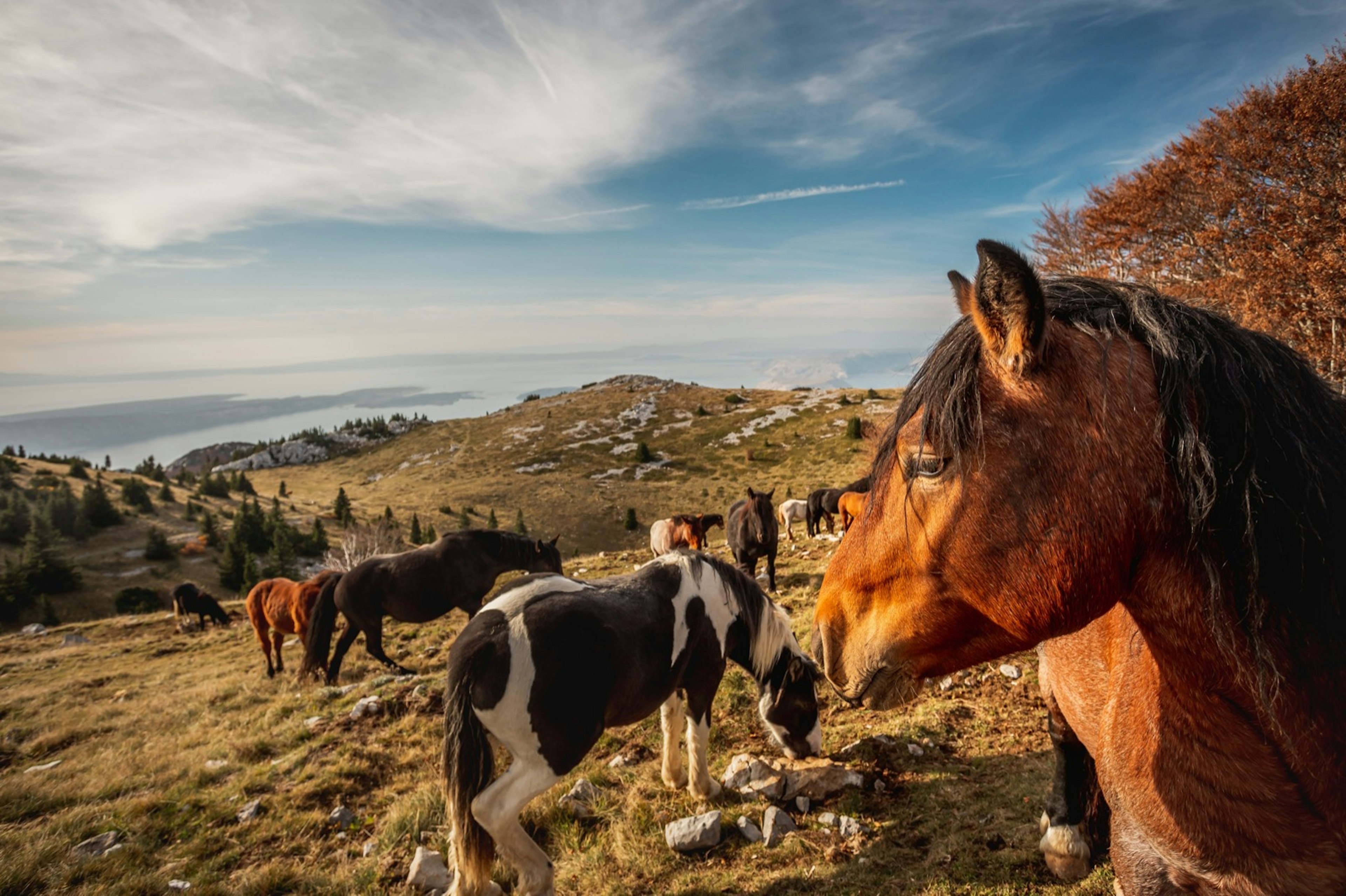 Northern_Velebit_Fall.jpg