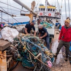 Ocean Voyages Institute team.jpg