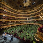 BARCELONA, SPAIN - JUNE 22: Musicians from UceLi Quartet, a string quartet, perform 'Crisantemi' by Puccini for an audience made up of 2,292 plants on the first day after the State of Alarm on June 22, 2020 in Barcelona, Spain. The plants will later be delivered to 2,292 healthcare professionals, from the Hospital Clínic de Barcelona, accompanied by a certificate from the artist Eugenio Ampudia. The concert was born from the initiative of the Liceu and the artist together with the Max Estrella Gallery and the curator of Blanca De La Torre. (Photo by Jordi Vidal/Getty Images)