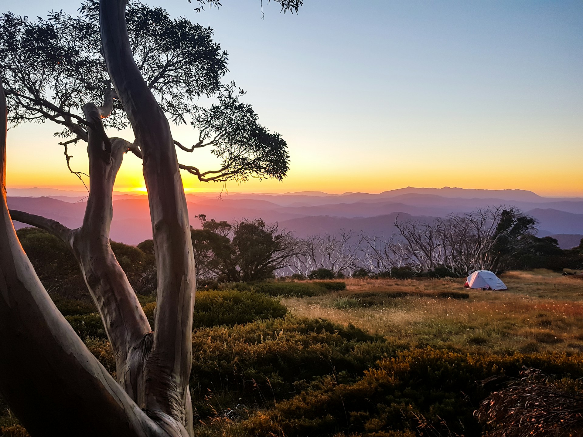 A tent is set up on a mountaintop in Razorback Ridge at sunset