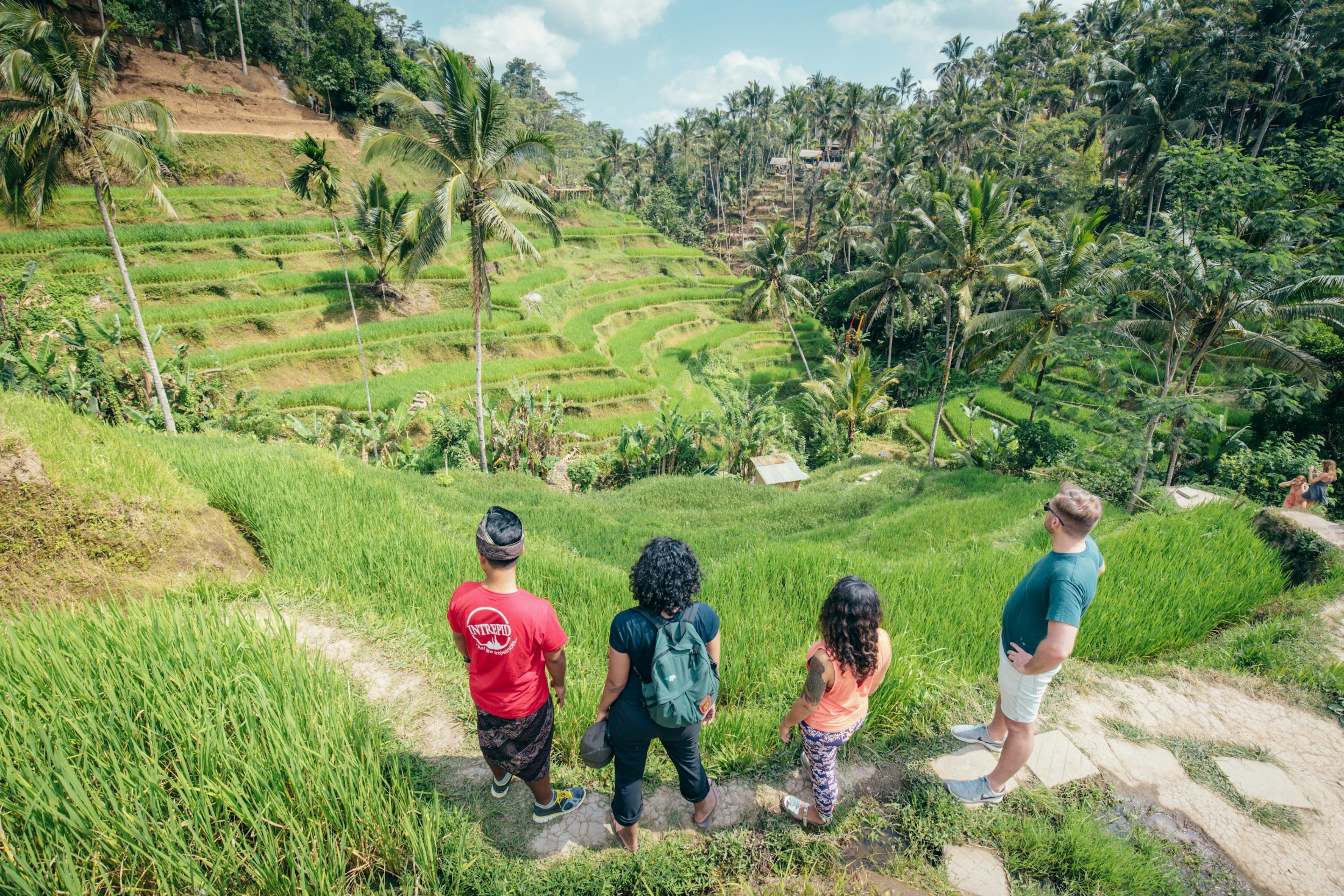 Poeple standing at a rice terrace