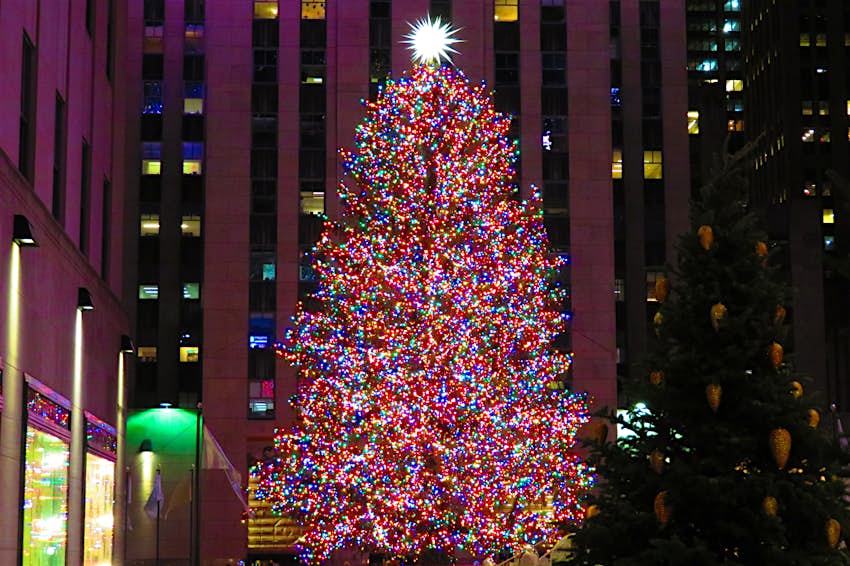 The Rockefeller Center Christmas tree has arrived in NYC to kick off the festive season - Lonely ...