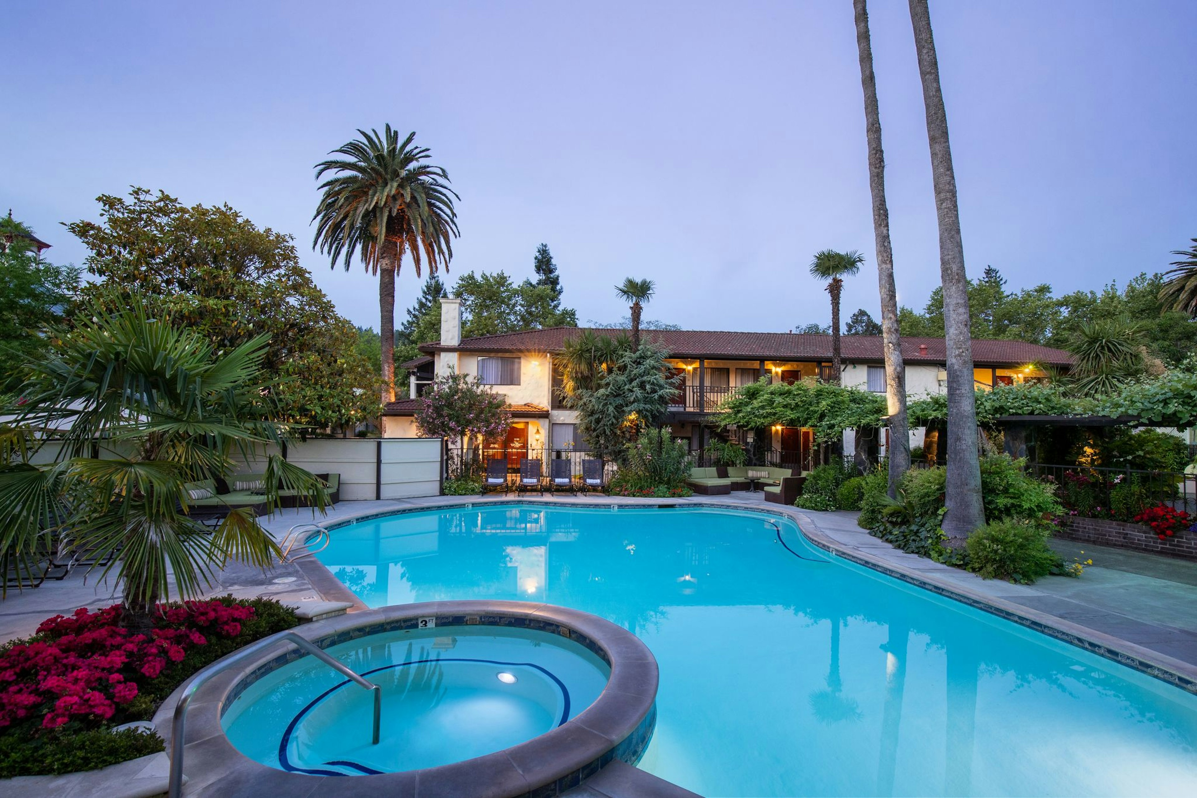 An empty pool surrounded by palm trees and a blue sky