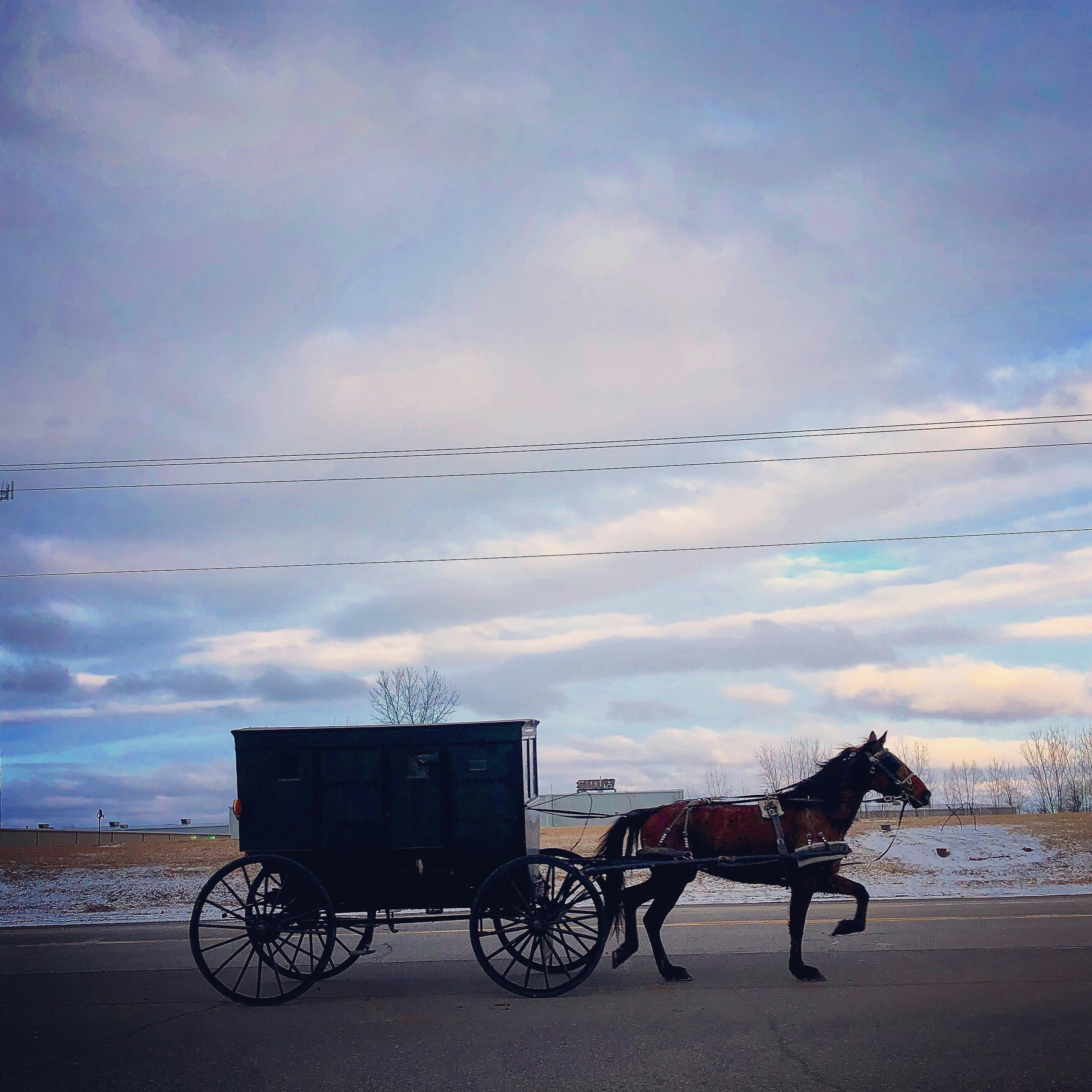 A horse-drawn buggy in Amish Country