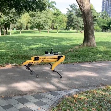 Spot the robot dog on patrol in Singapore