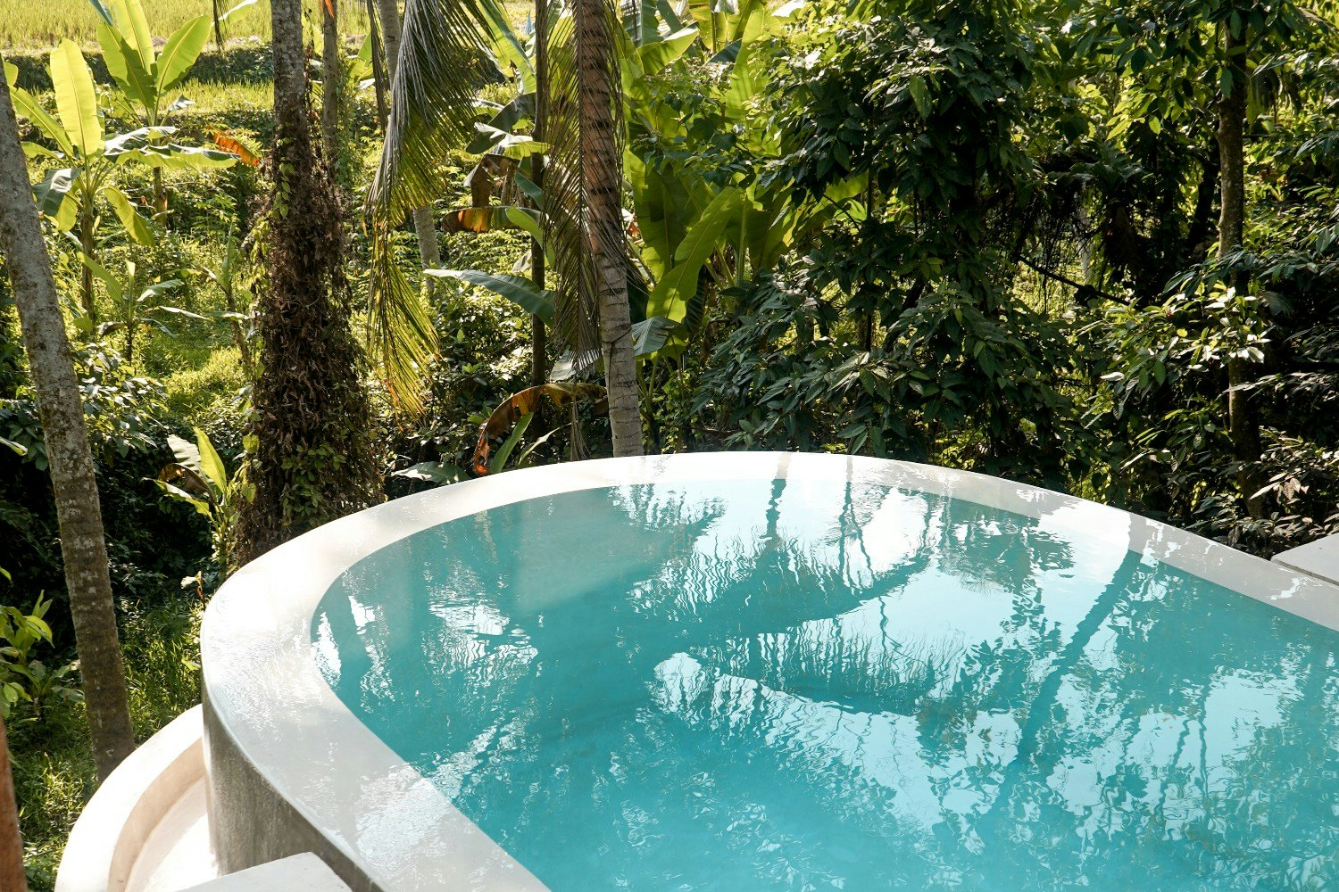 A swimming pool in a treehouse in Bali