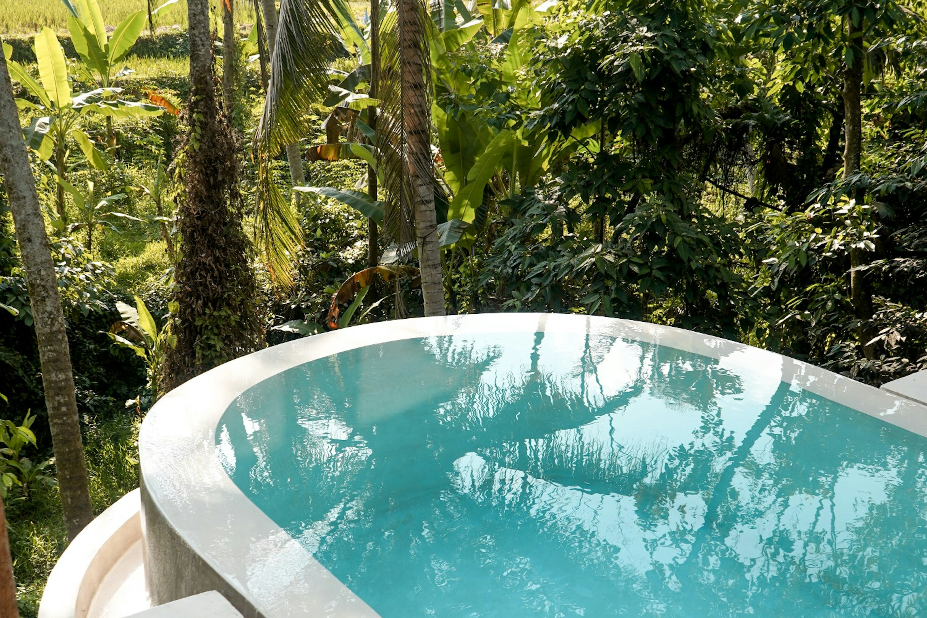 A swimming pool in a treehouse in Bali