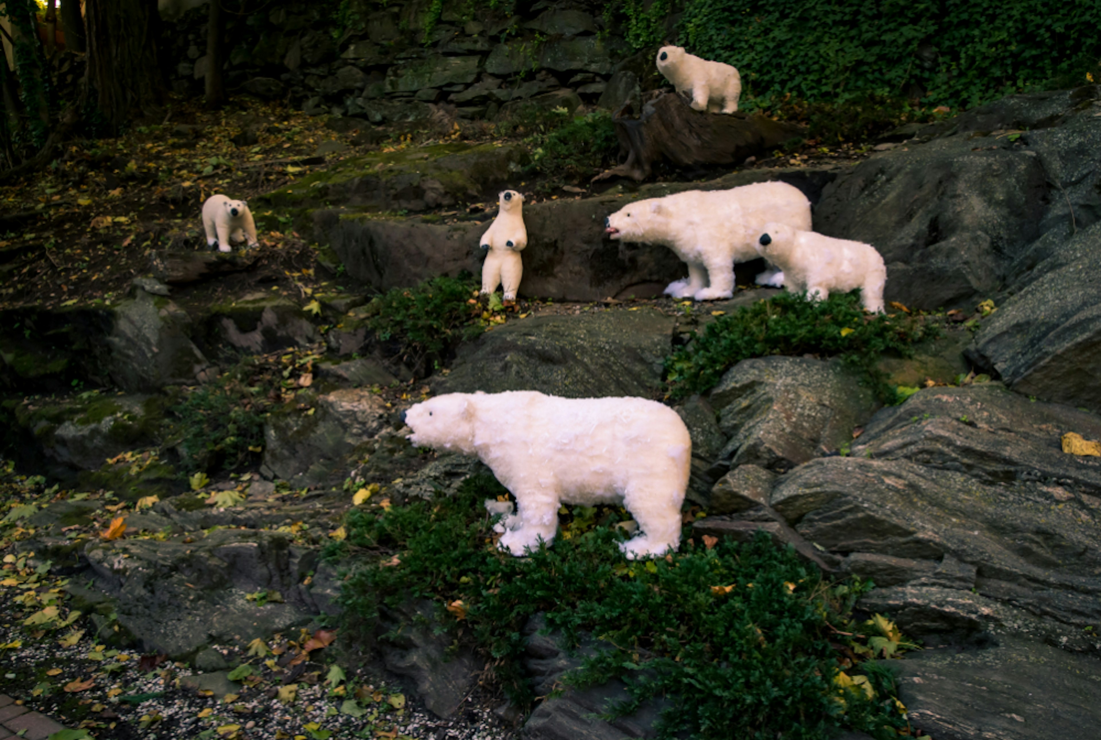 The polar bear lodge at the VRBO holiday house