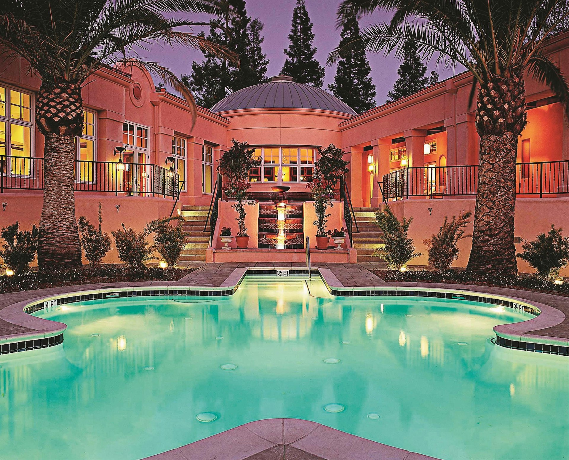 An empty pool surrounded by palm trees