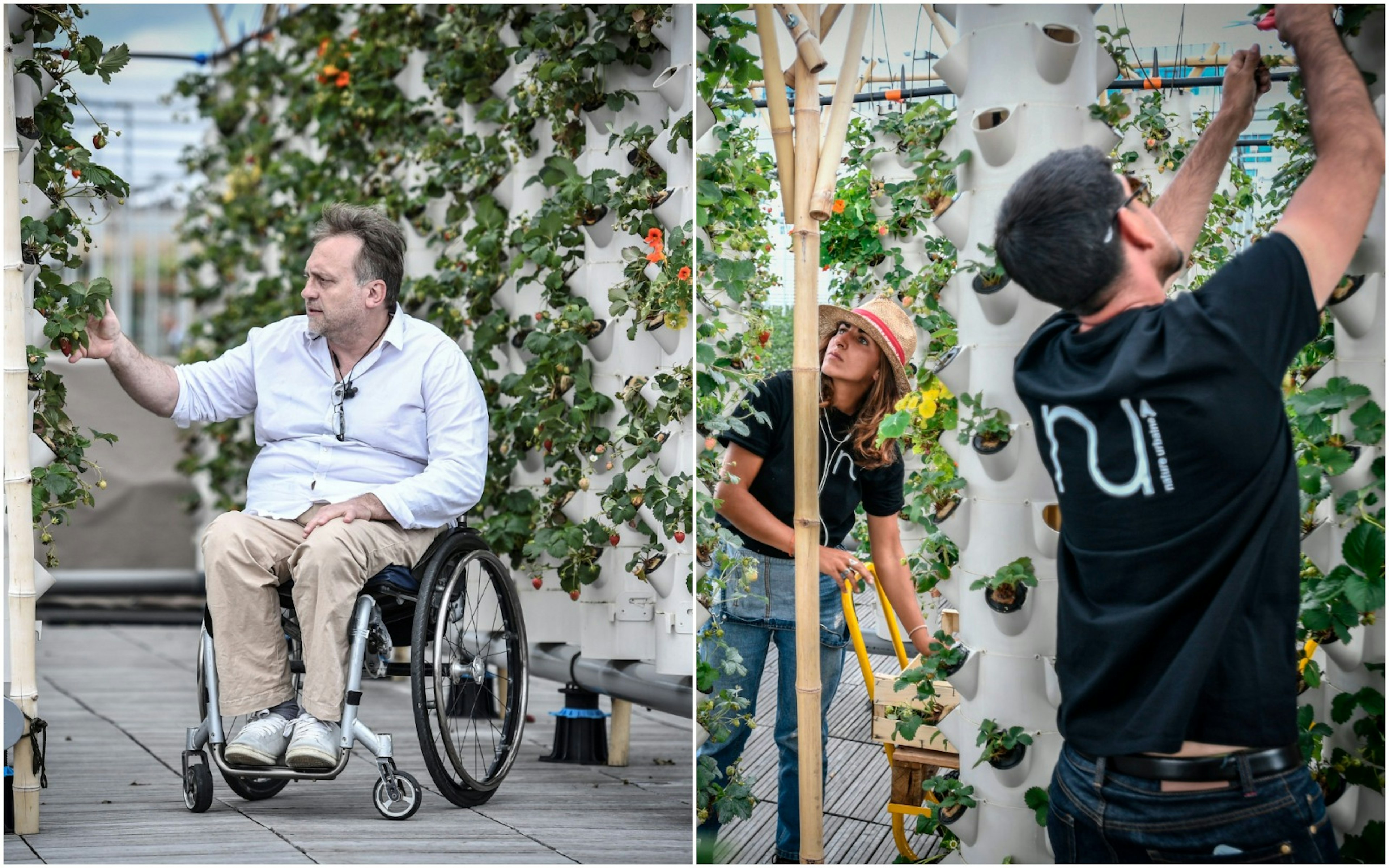 Staff at work in Paris' new rooftop farm