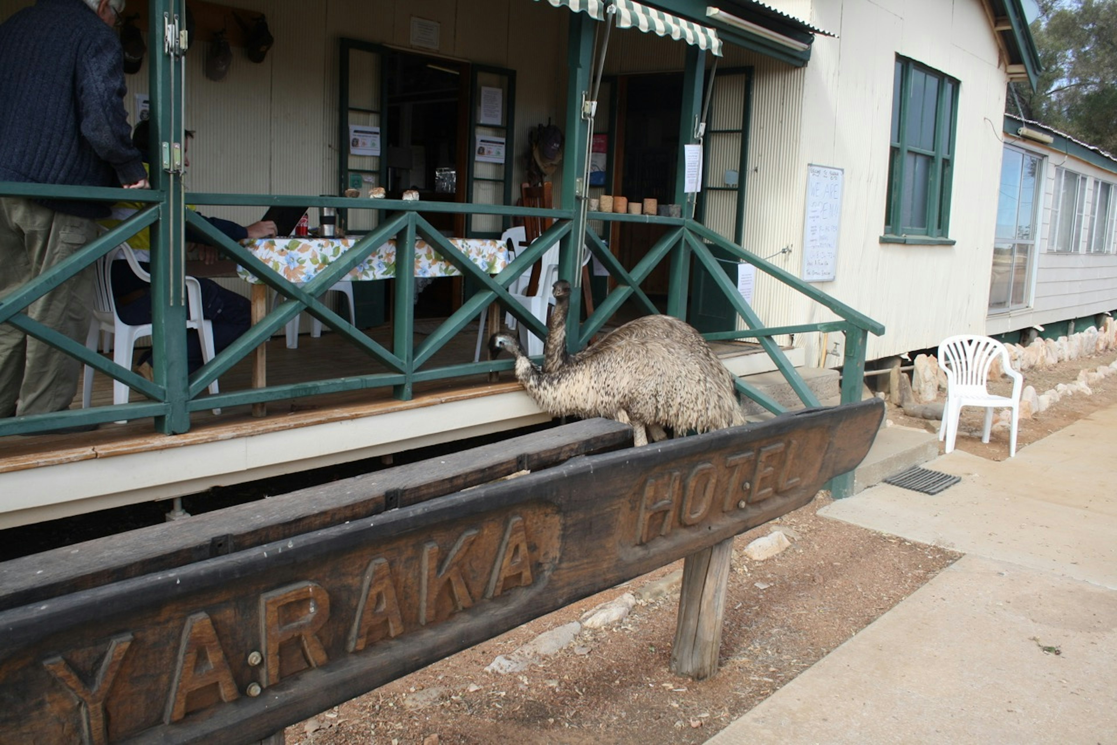 Yaraka Emu