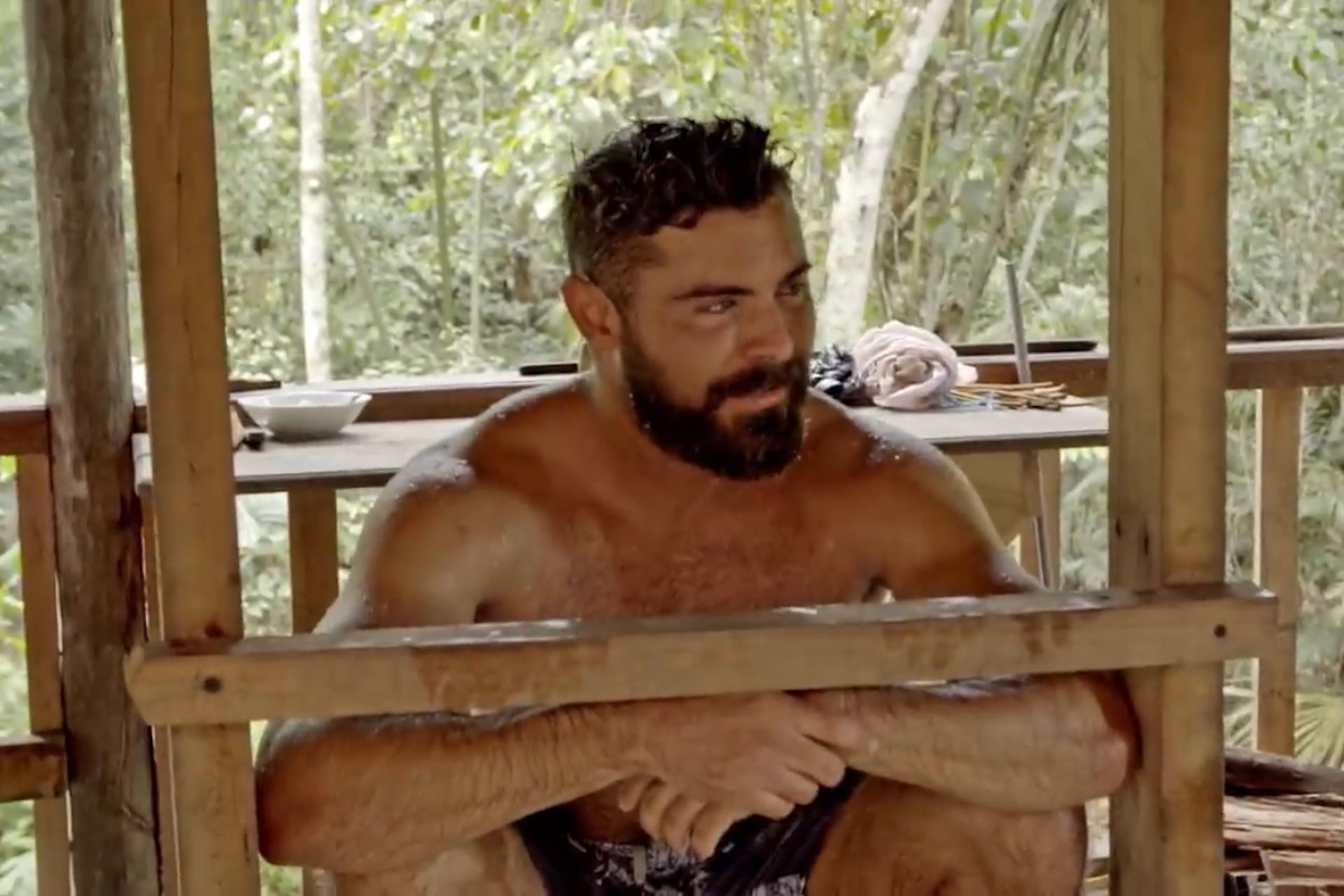 A shirtless Zac Efron sitting in a wooden frame