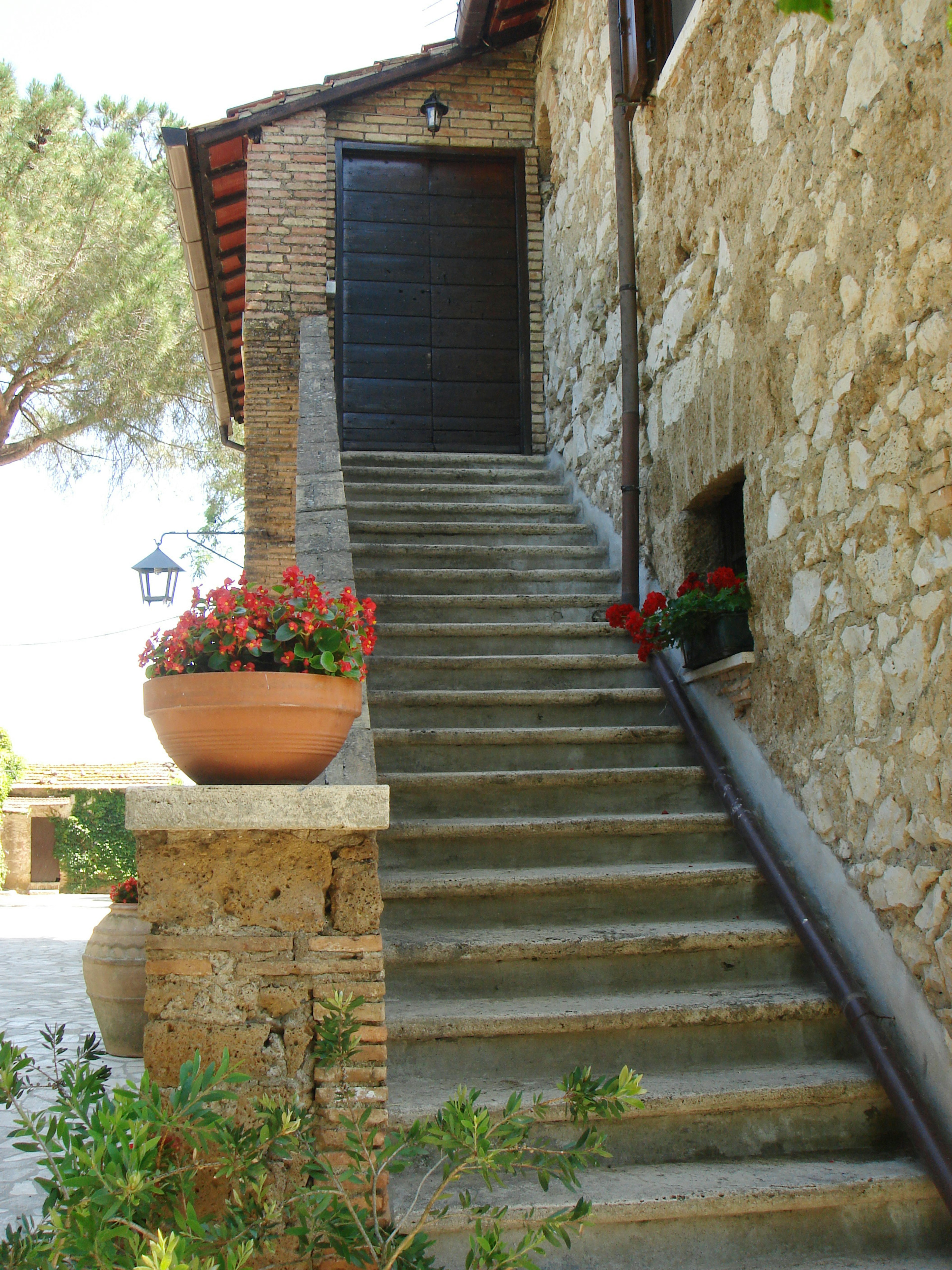 Steps decorated with plant boxes