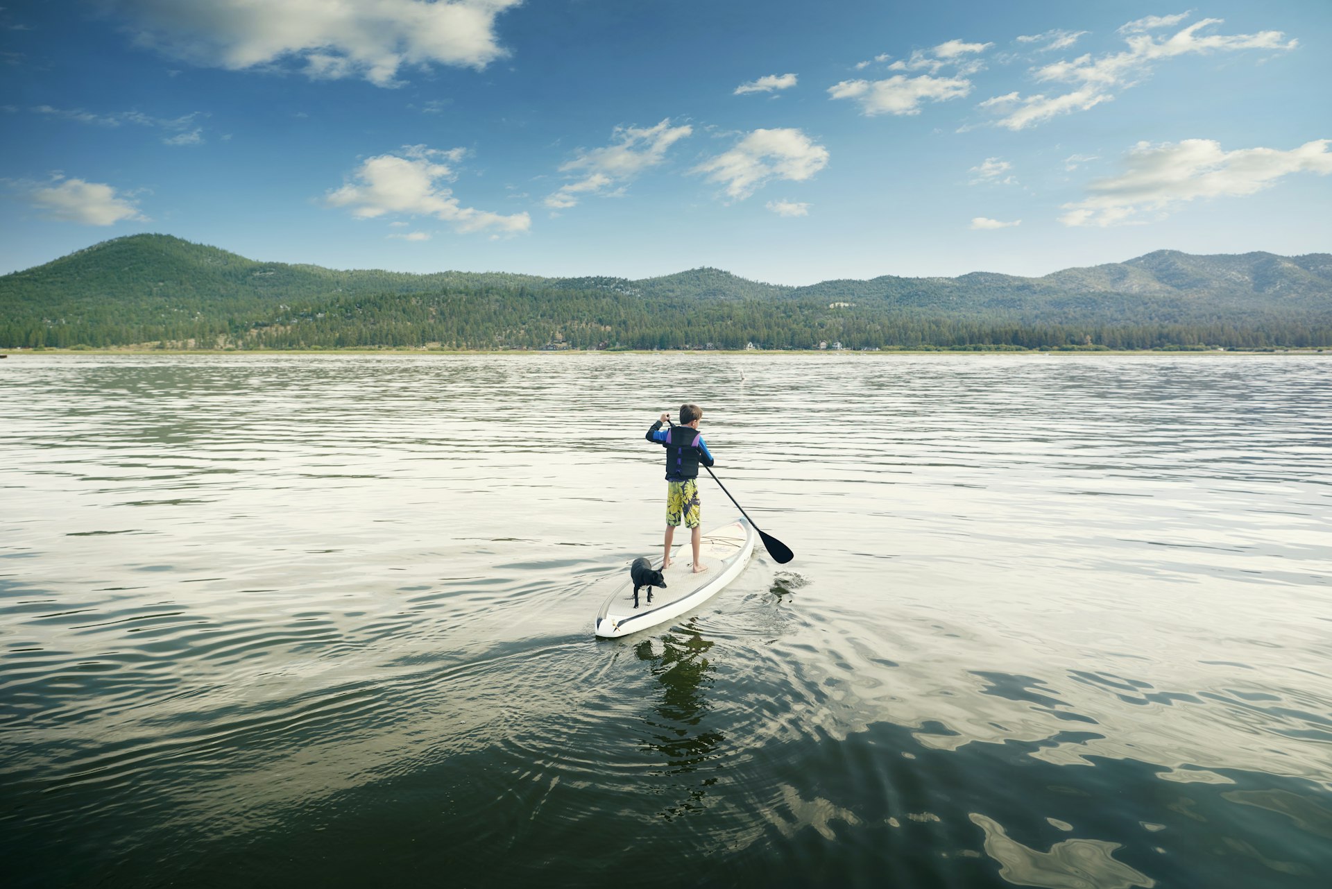 A boy and his dog paddle boarding on Big Bear Lake, San Bernadino County, California