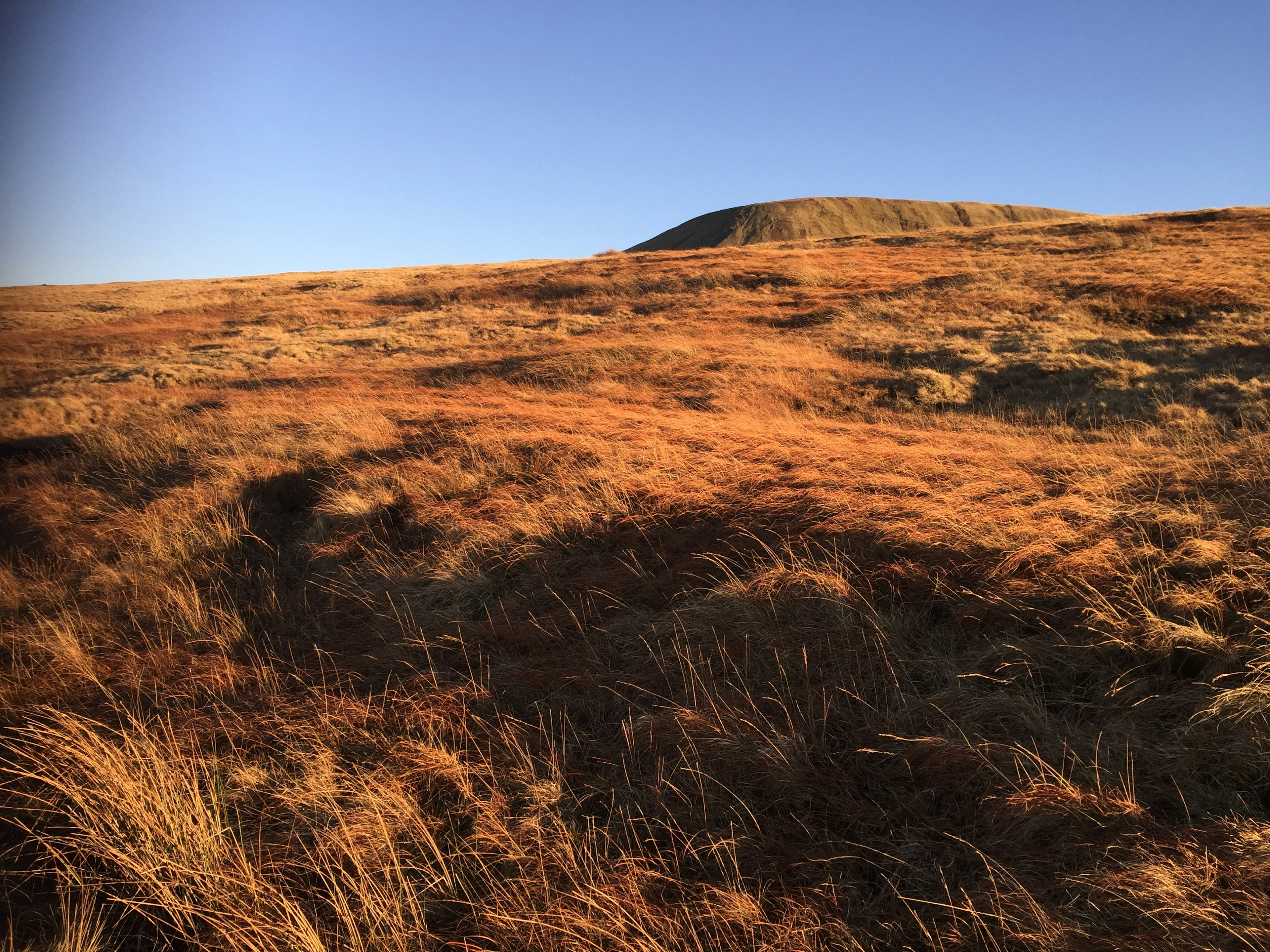 Mountain meadow in an orange light at Pen-y-Fan, Wales