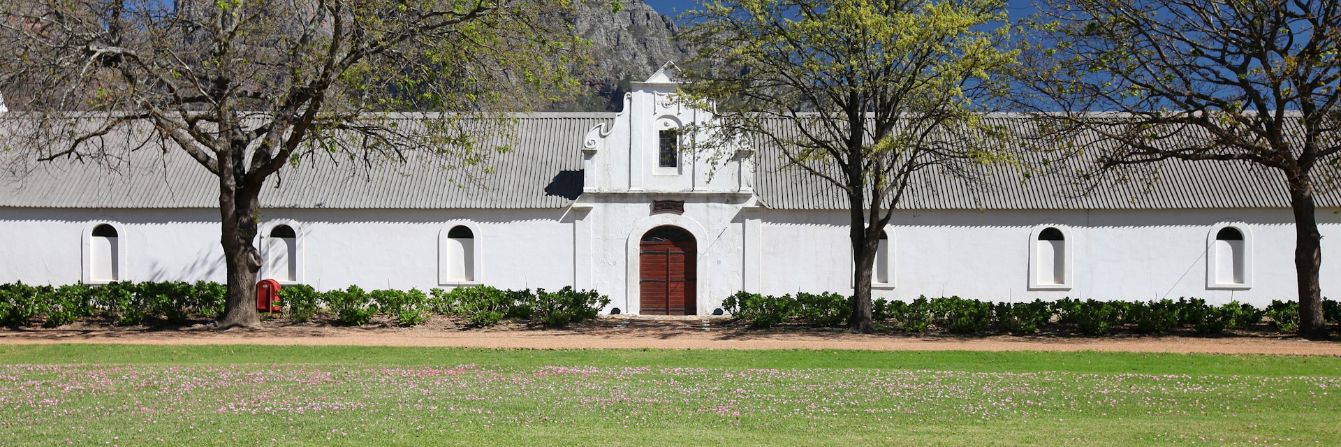 "Boschendal vineyard, Cape Winelands, Western Cape, South Africa."