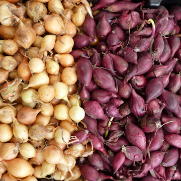 Pile of colorful fresh vegetables, red and white onions in Galway food market, Ireland.