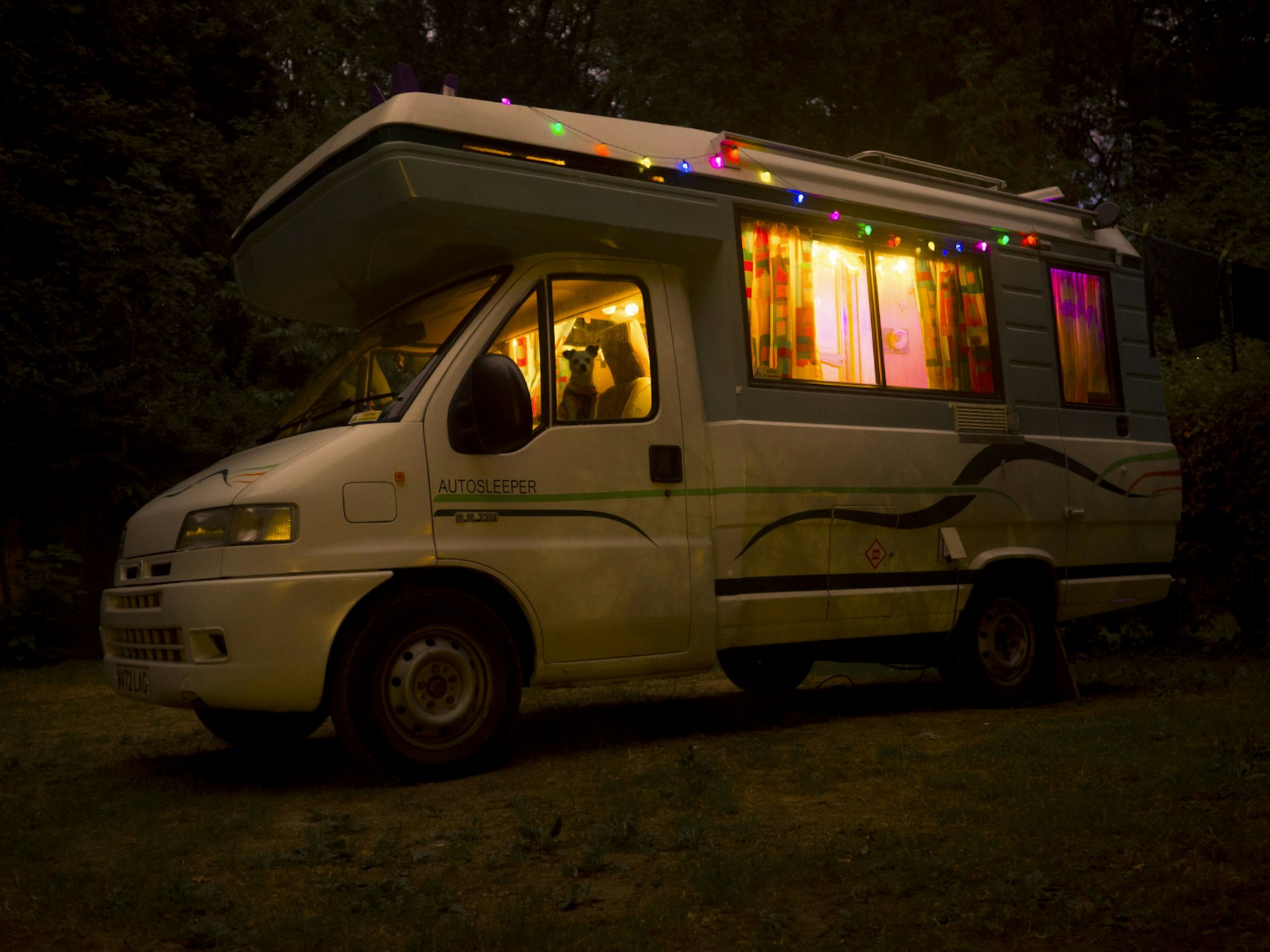 A night photo of a campervan with a dog peaking out the window