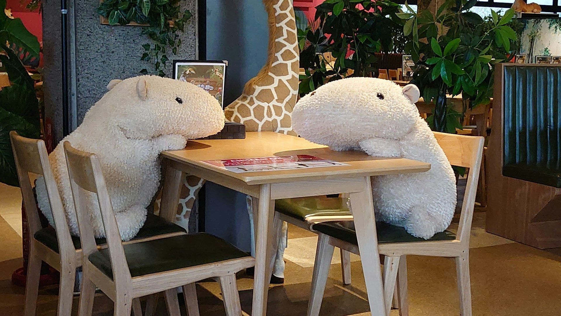 capybararestaurants.jpeg