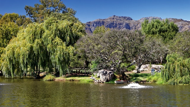 View over lake with willows to mountains, blue skies