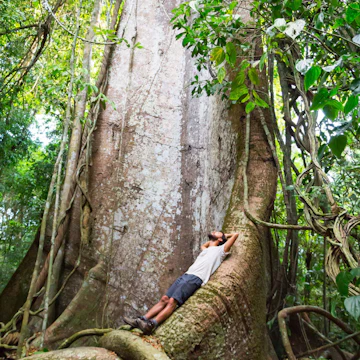 Floresta Nacional do Tapajós