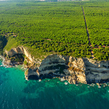 Parque Natural de la Breña y Marismas del Barbate