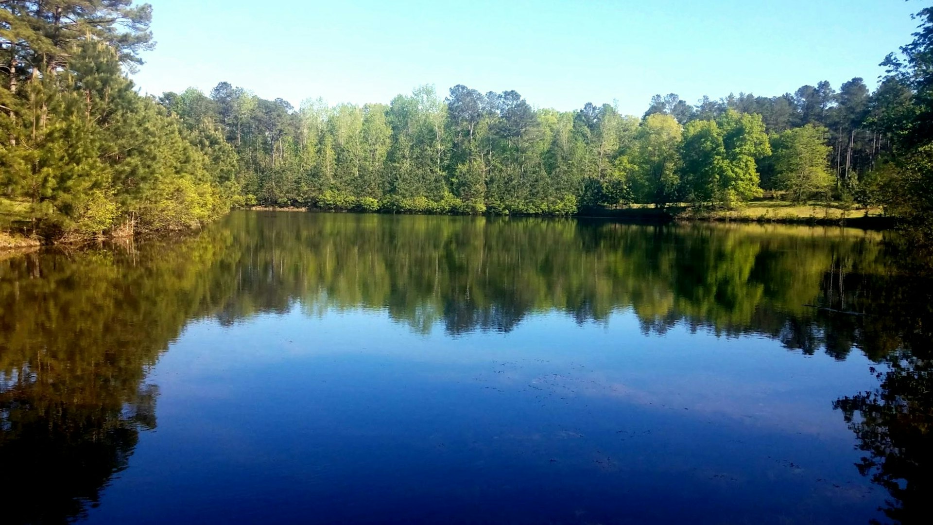 A lake surrounded by trees reflects the clear blue sky in Milledgeville, Georgia