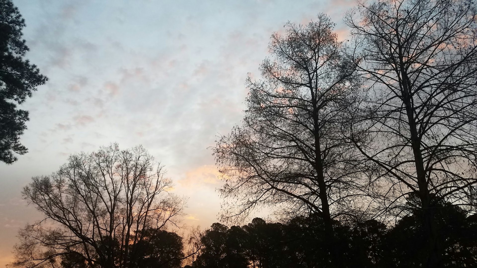 The sunset sinks over trees in Milledgeville, Georgia