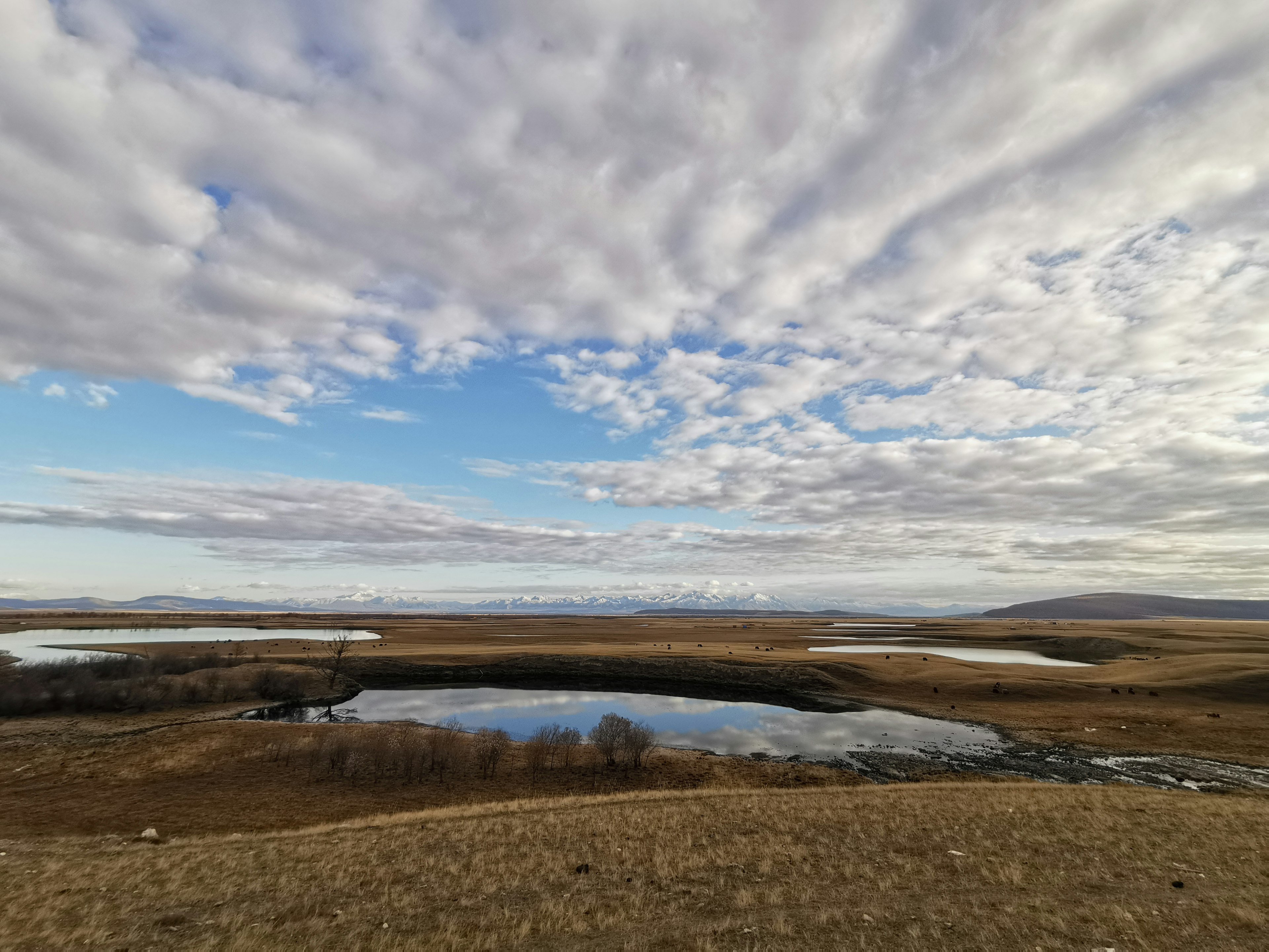 northern mongolia landscape.jpg