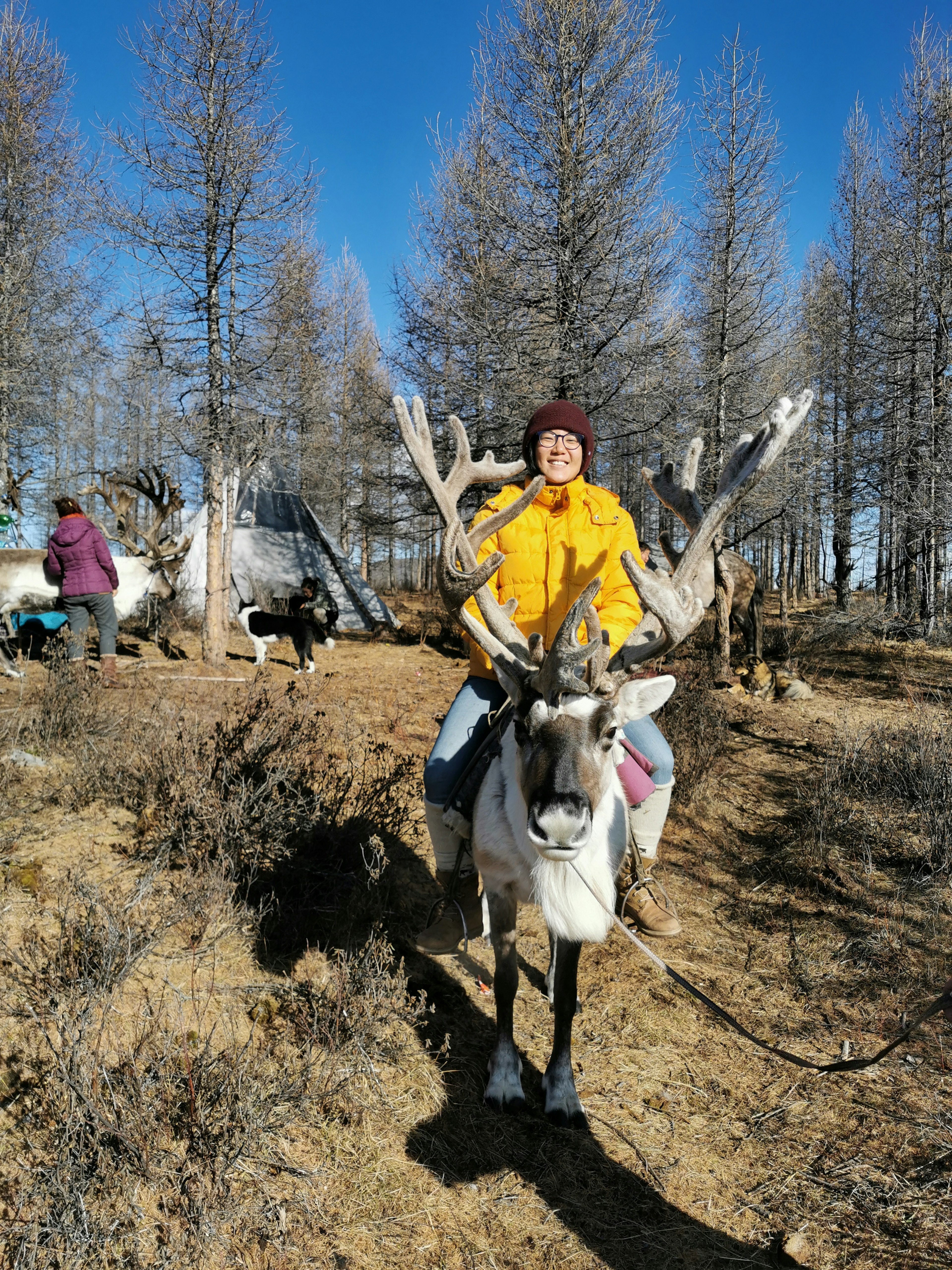 The writer sits on top of a reindeer. She is wearing a puffy yellow jacket and burgundy wool hat.