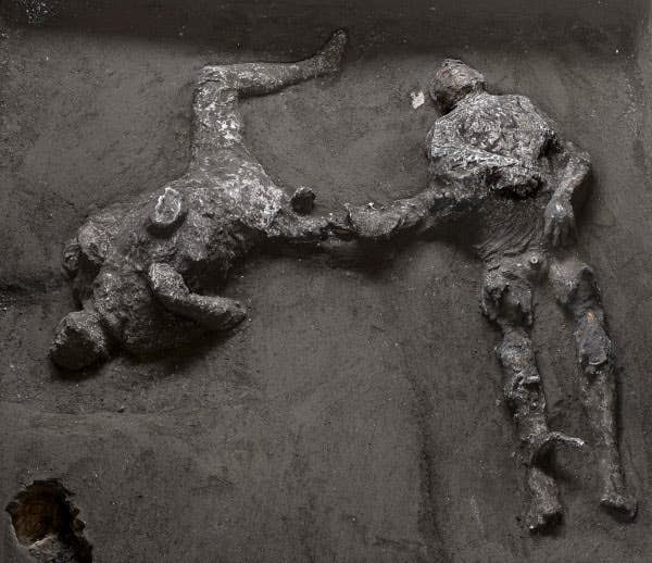 See The New Discovery Brought To Light In Pompeii's Excavations