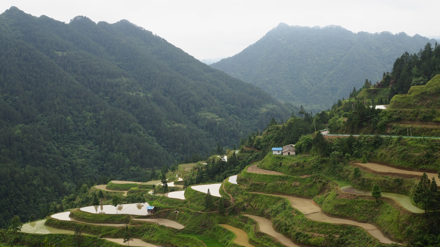 The road to the Miao village of Paimo is lined with rice terraces.