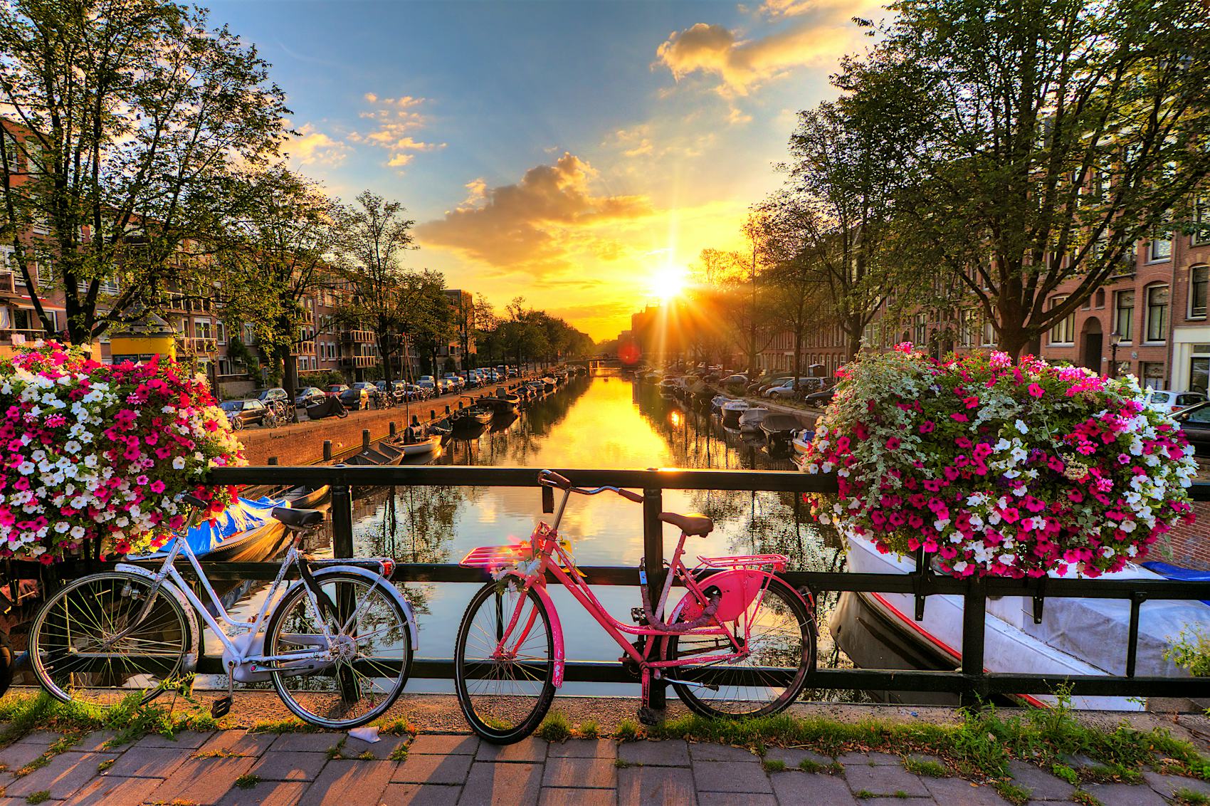 ''Beautiful sunrise over Amsterdam, The Netherlands, with flowers and bicycles on the bridge in spring''