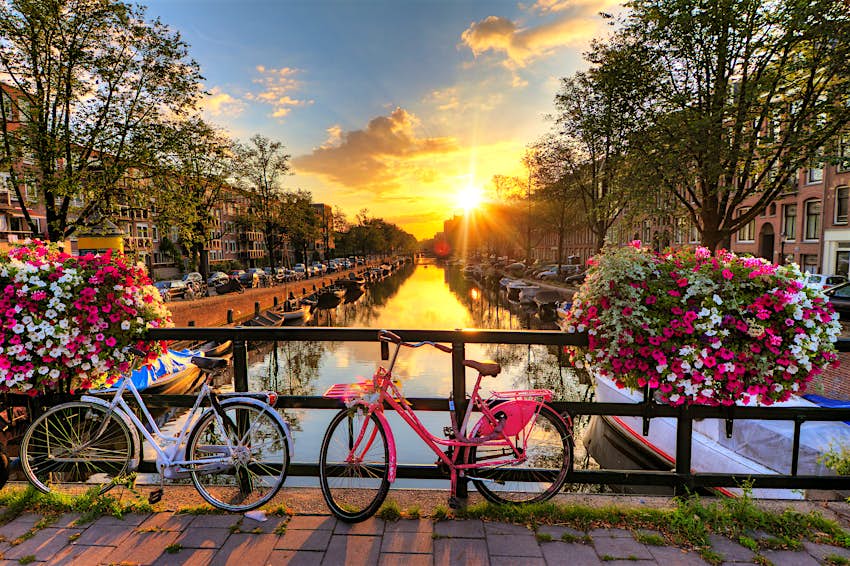 Beautiful sunrise over Amsterdam, The Netherlands, with flowers and bicycles on the bridge in spring